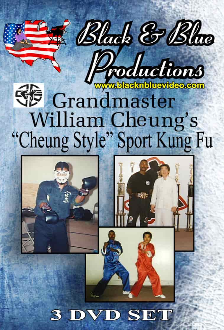 3 Dvd Set William Cheung Wing Chun Style Tournament & Full Contact Anthony Arnett, Dvd