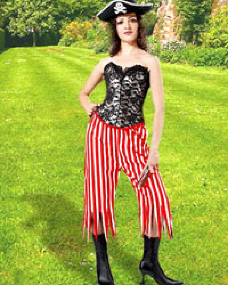 Rachel Wall Striped Pants